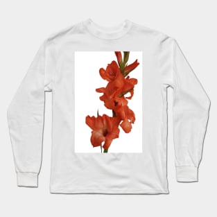 Red Gladioli Long Sleeve T-Shirt